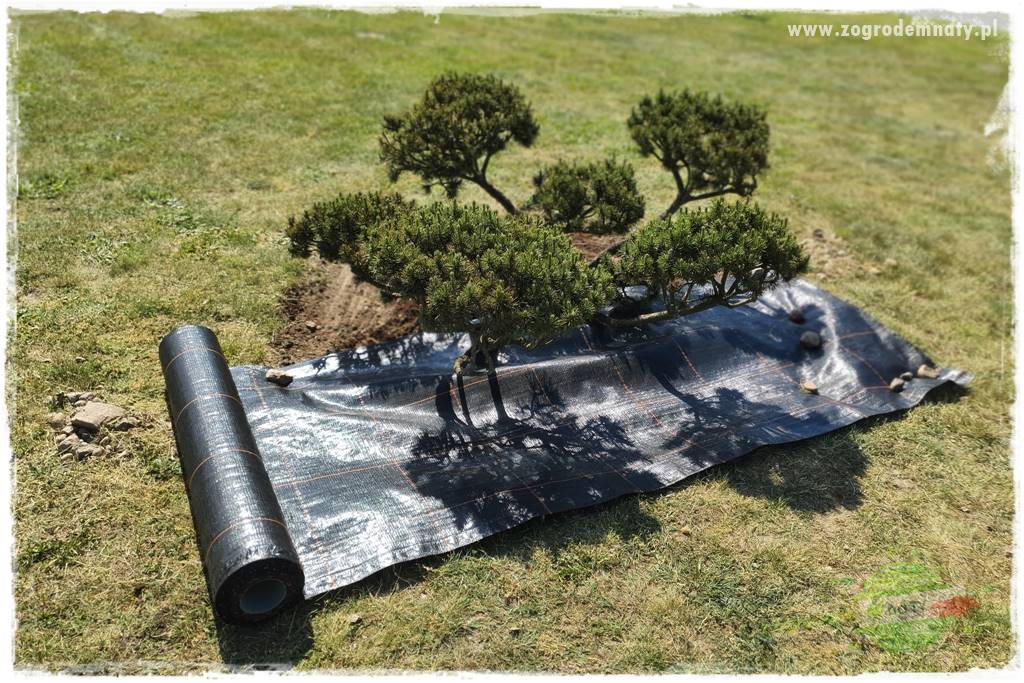 Ściółkowanie zarośniętej rabaty 15
