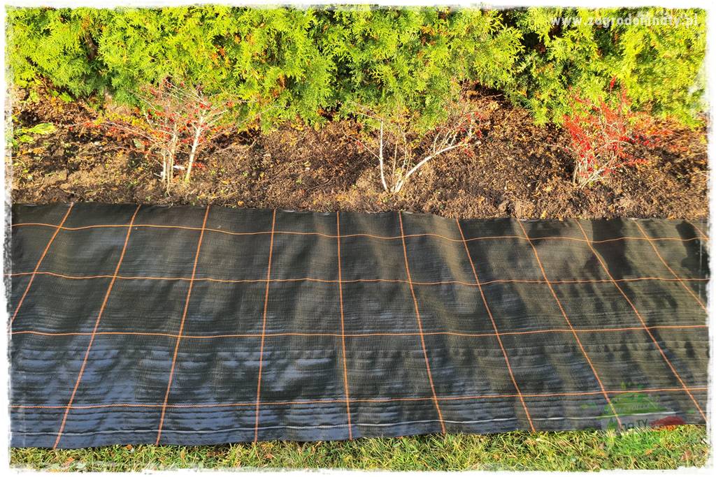 Ściółkowanie zarośniętej rabaty 25