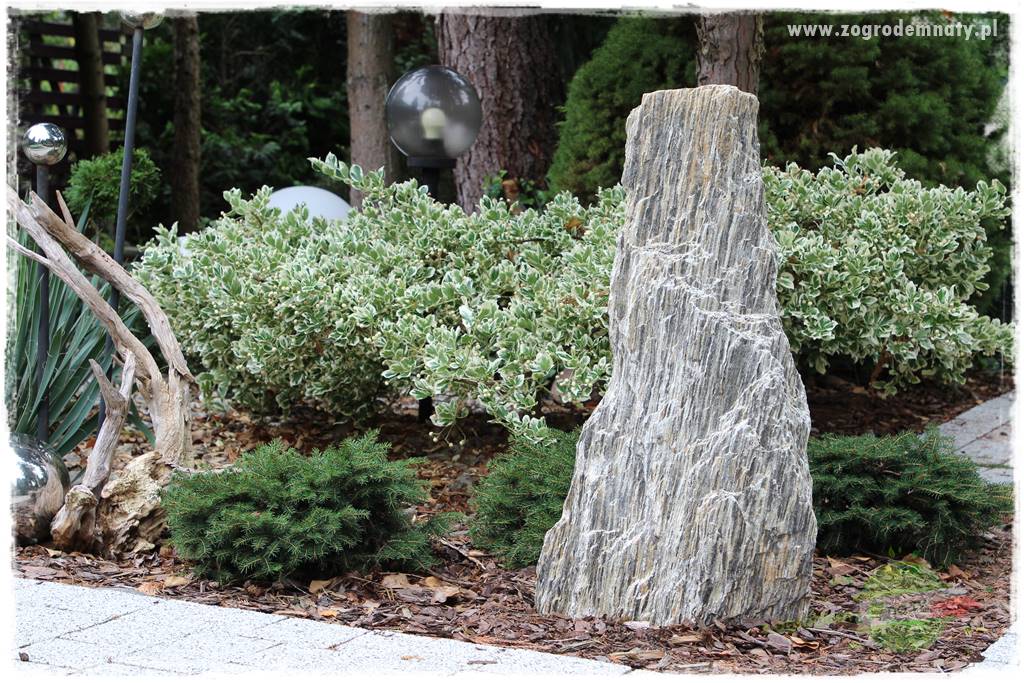 Ściółkowanie zarośniętej rabaty 38