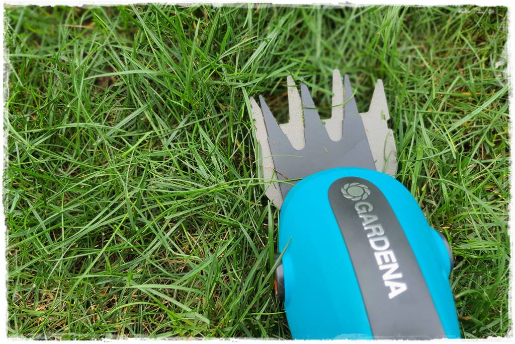 Ściółkowanie zarośniętej rabaty 5