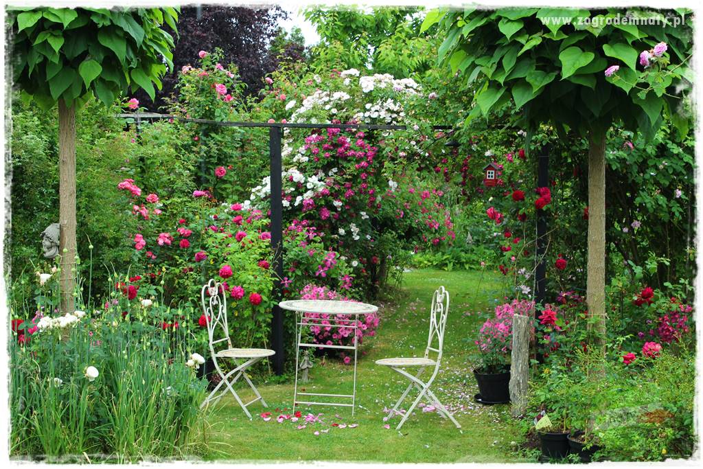 Zaciszne zakątki w ogrodzie 101
