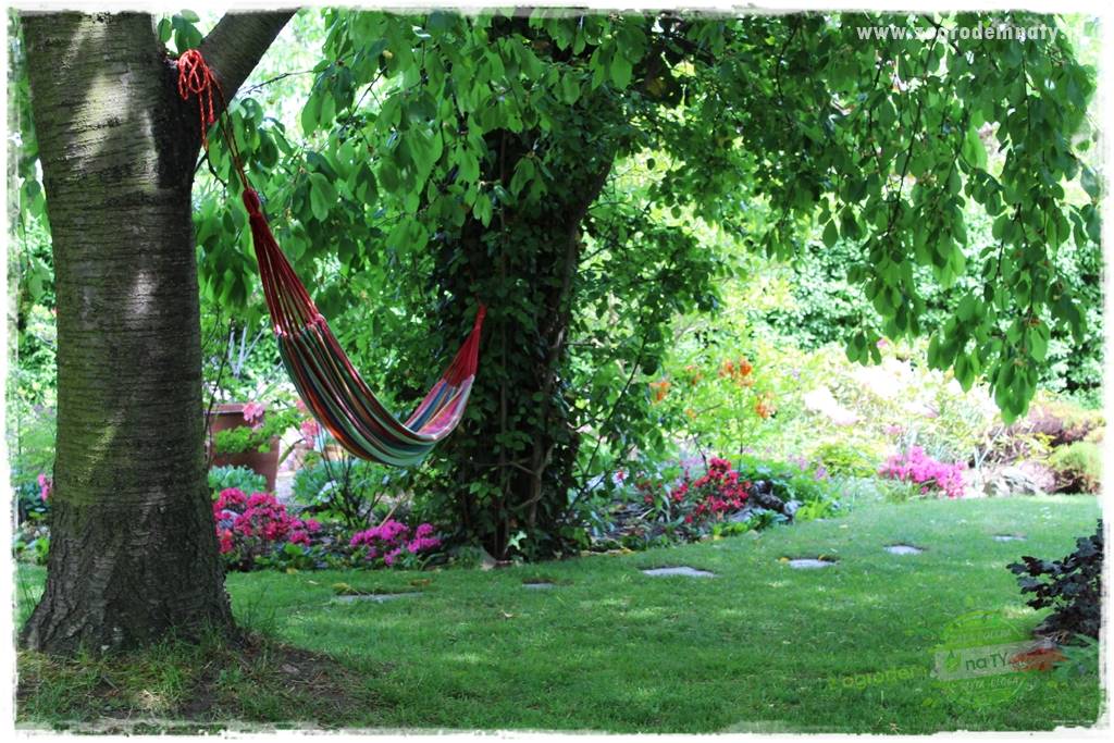 Zaciszne zakątki w ogrodzie 13