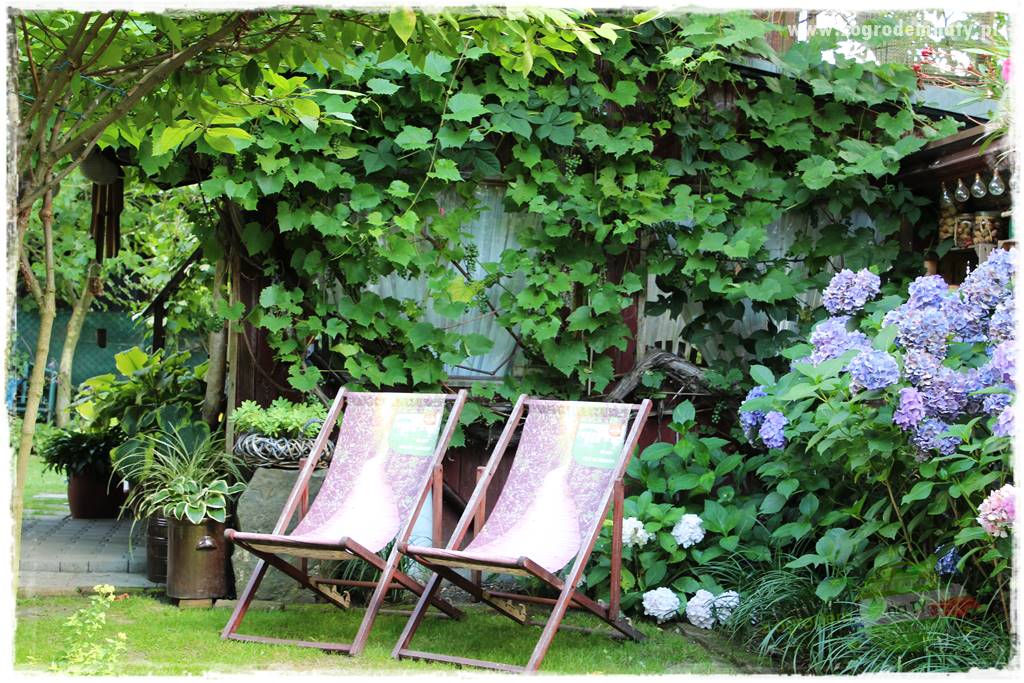 Zaciszne zakątki w ogrodzie 15