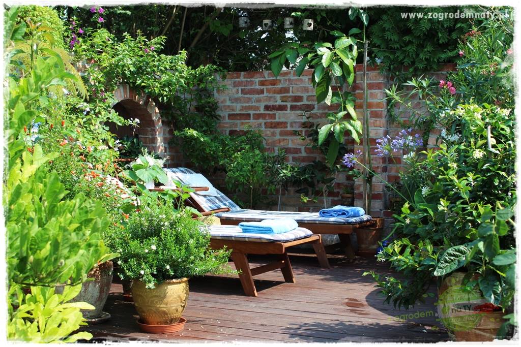 Zaciszne zakątki w ogrodzie 17