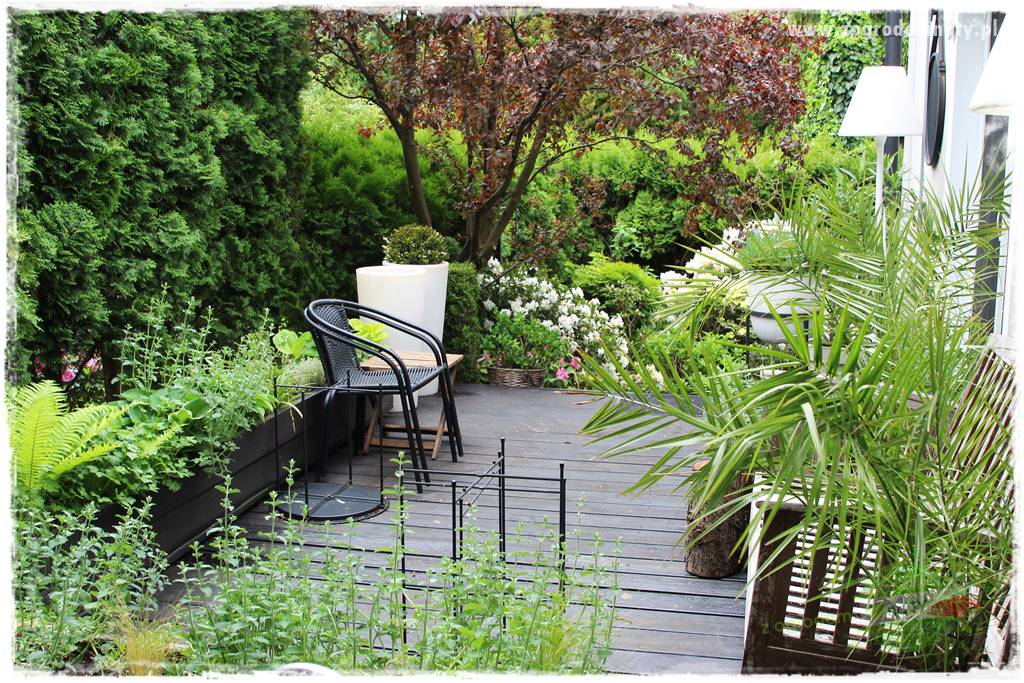 Zaciszne zakątki w ogrodzie 19