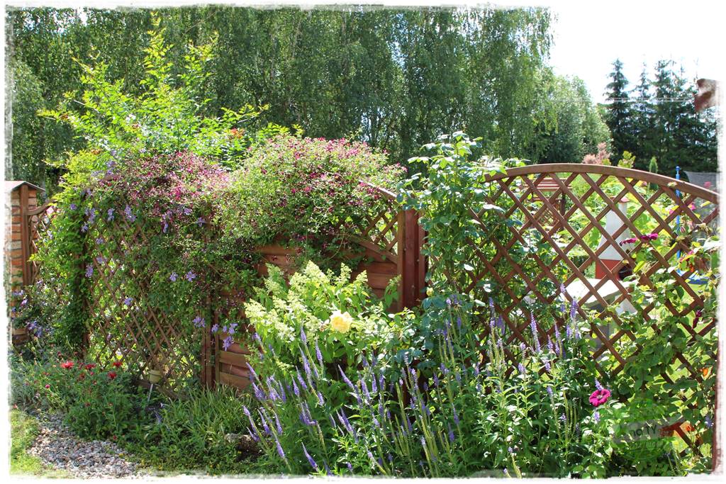 Zaciszne zakątki w ogrodzie 23