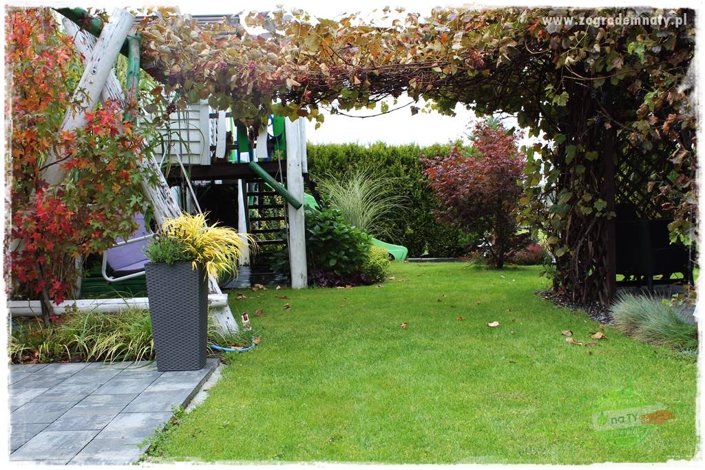 Zaciszne zakątki w ogrodzie 27