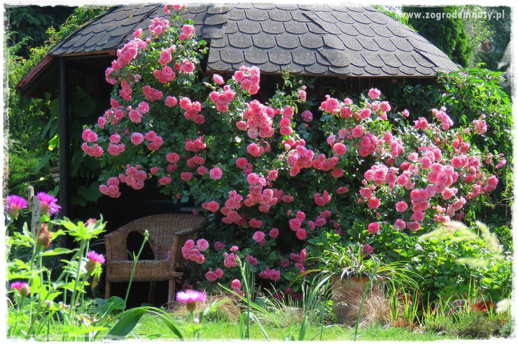 Zaciszne zakątki w ogrodzie 32