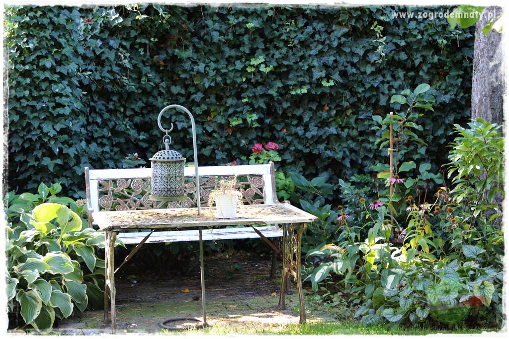 Zaciszne zakątki w ogrodzie 33