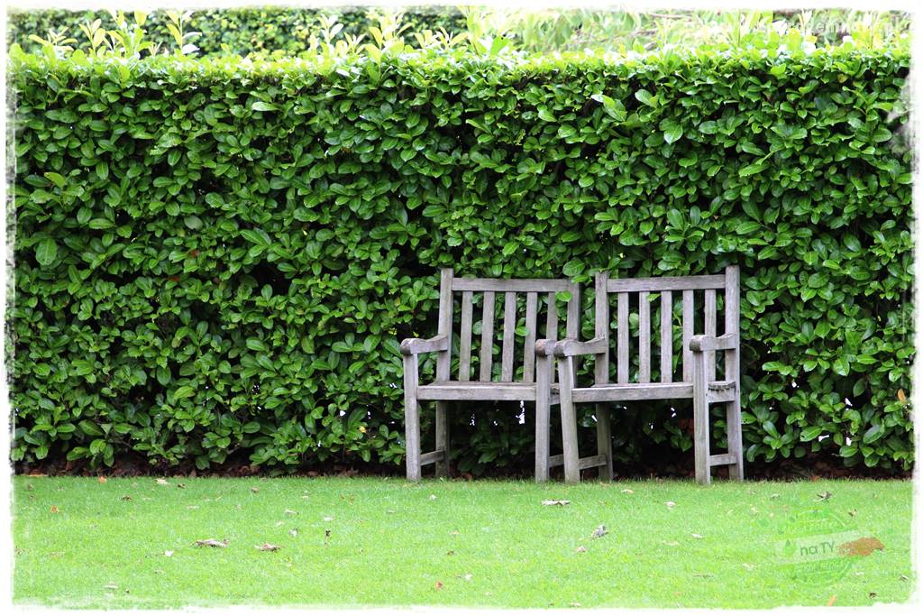 Zaciszne zakątki w ogrodzie 34