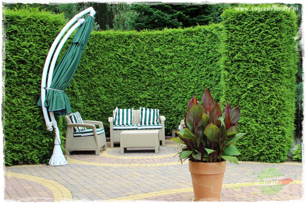 Zaciszne zakątki w ogrodzie 35