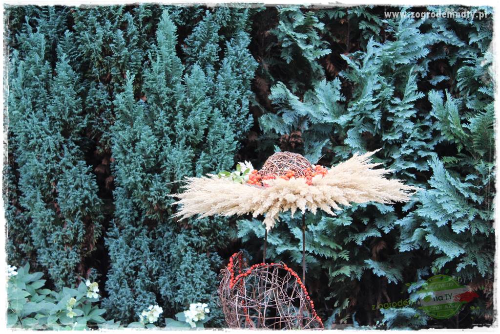 Zaciszne zakątki w ogrodzie 37