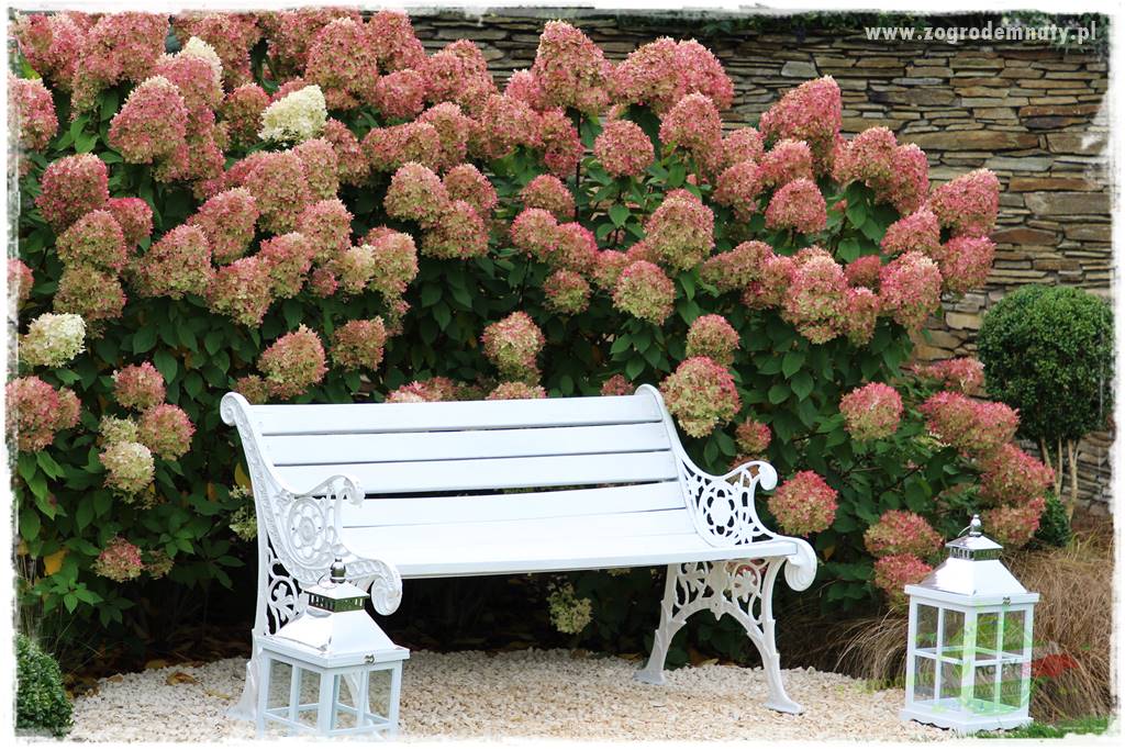 Zaciszne zakątki w ogrodzie 39