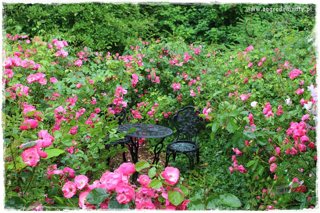 Zaciszne zakątki w ogrodzie 40