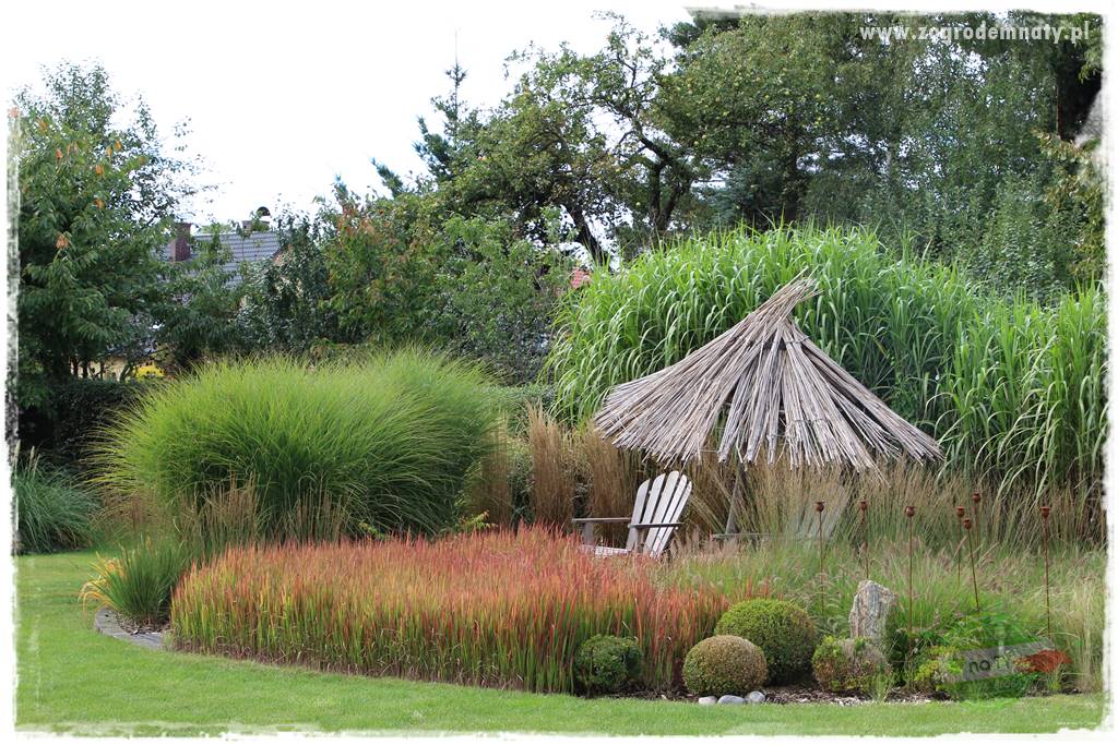 Zaciszne zakątki w ogrodzie 41