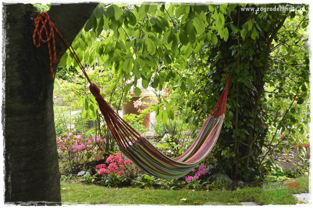 Zaciszne zakątki w ogrodzie 56