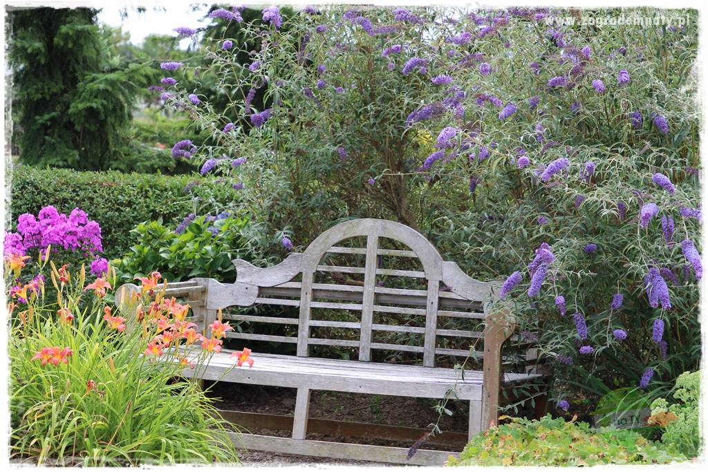 Zaciszne zakątki w ogrodzie 7
