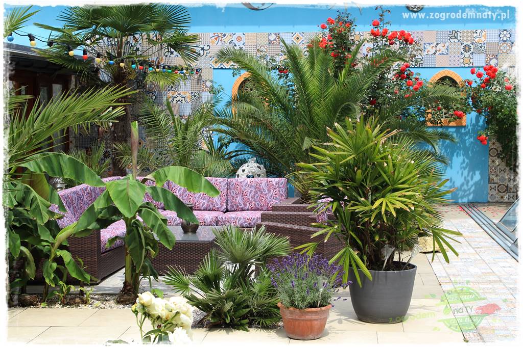 Zaciszne zakątki w ogrodzie 76