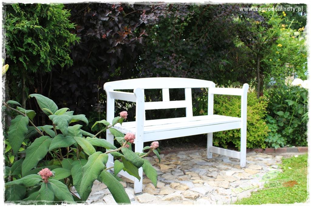 Zaciszne zakątki w ogrodzie 8