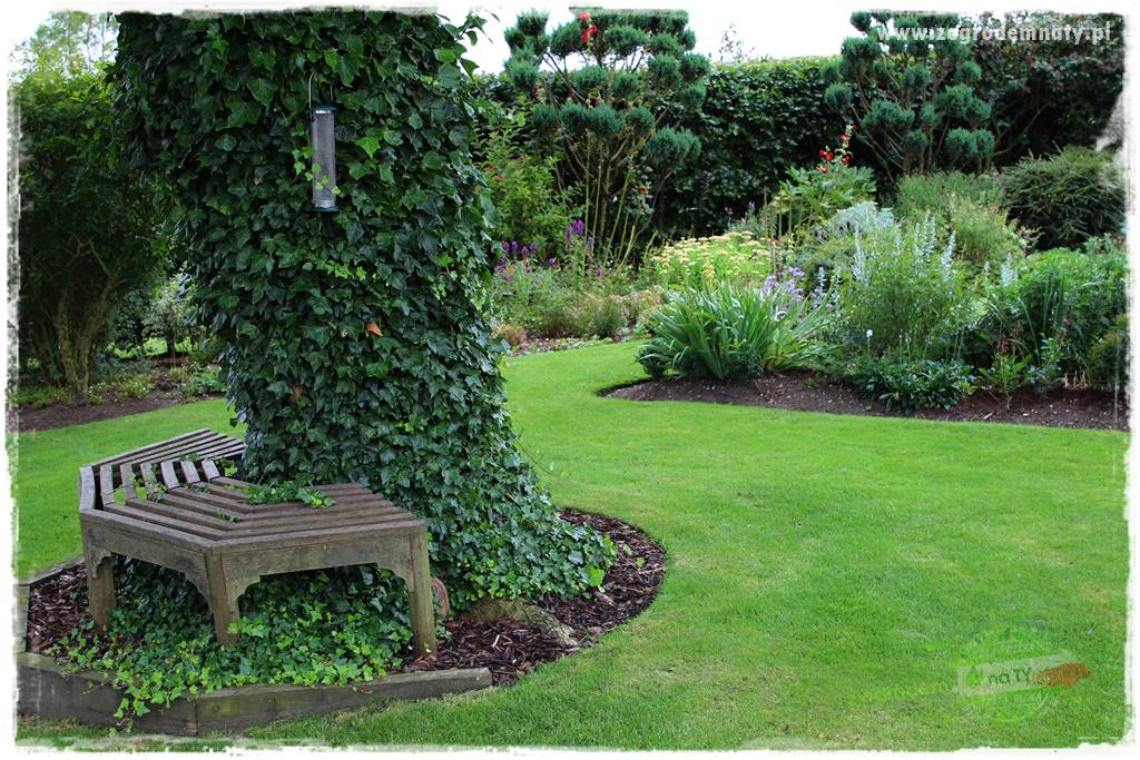 Zaciszne zakątki w ogrodzie 81
