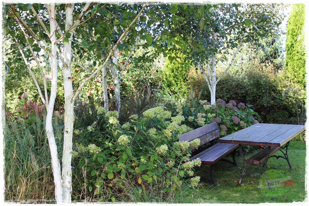 Zaciszne zakątki w ogrodzie 82