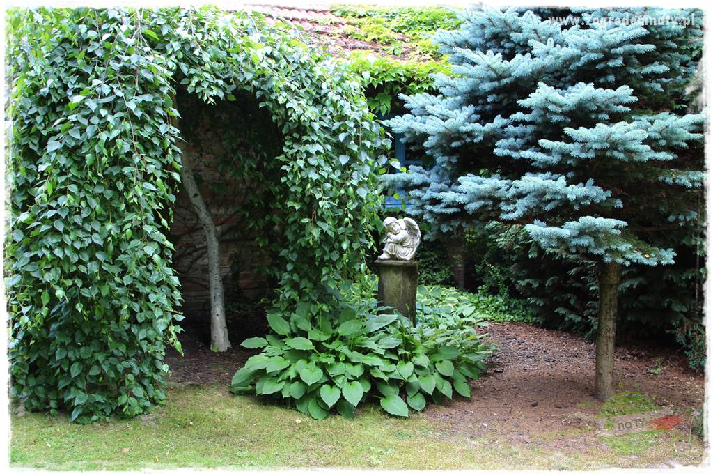 Zaciszne zakątki w ogrodzie 83