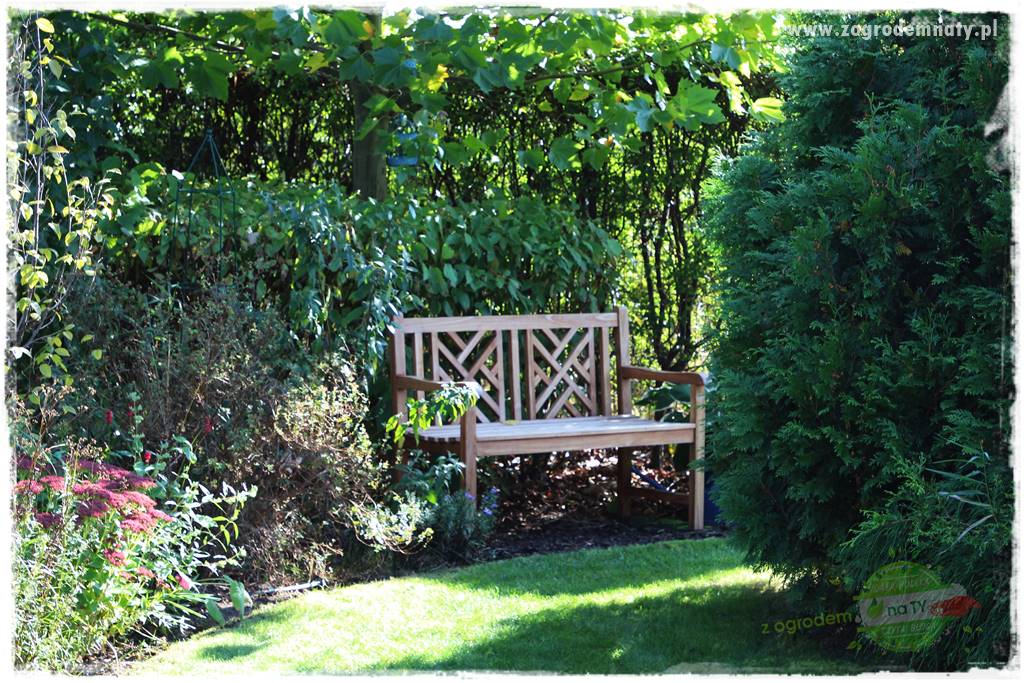 Zaciszne zakątki w ogrodzie 9