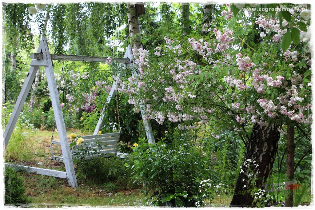 Zaciszne zakątki w ogrodzie 92