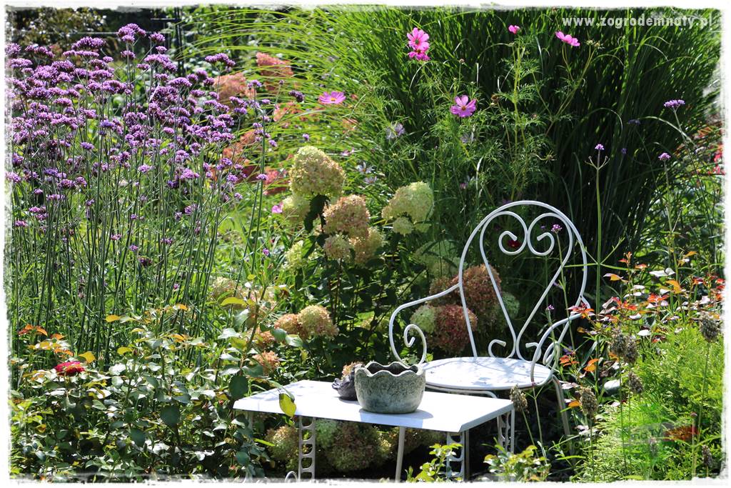 Zaciszne zakątki w ogrodzie 99