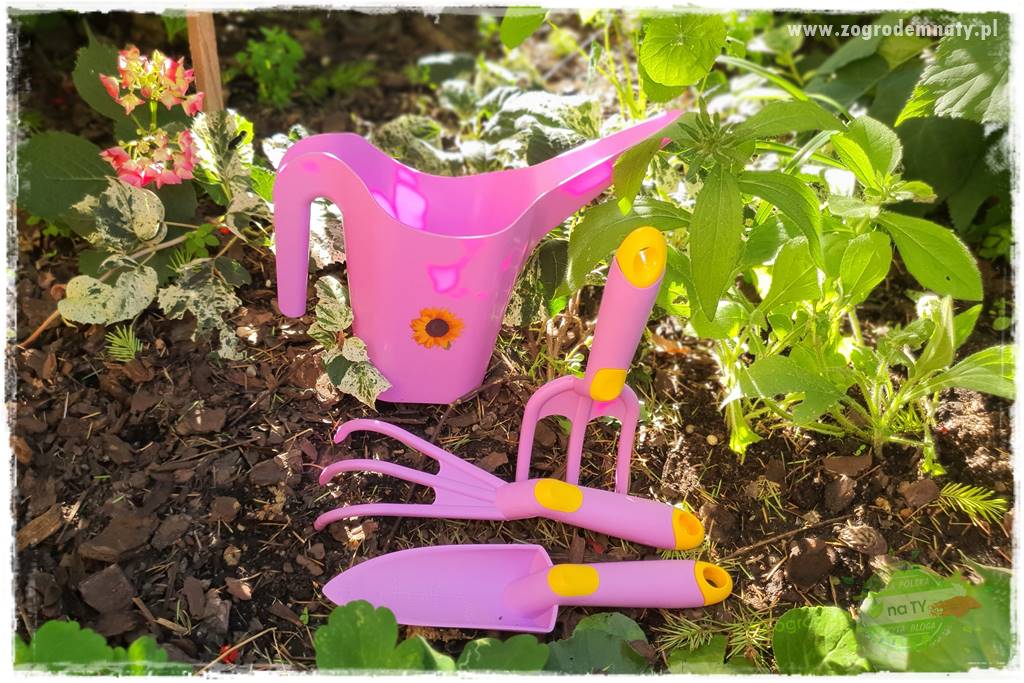Koloroterapia w ogrodzie 108