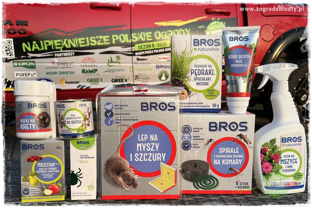 Ogród ze starą cegłą 101