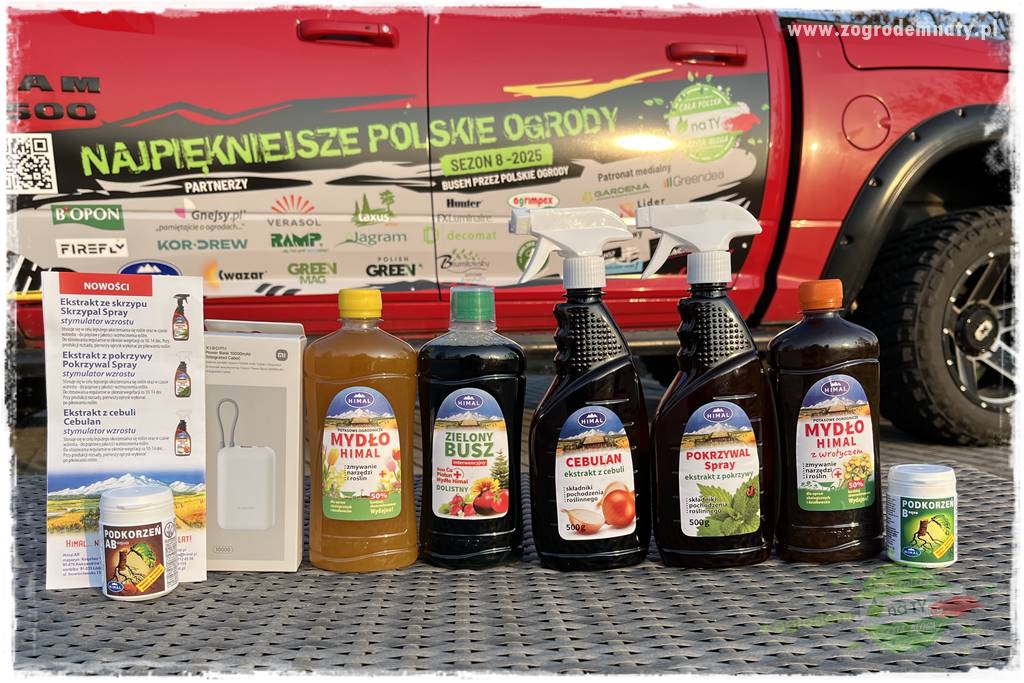 Ogród ze starą cegłą 103