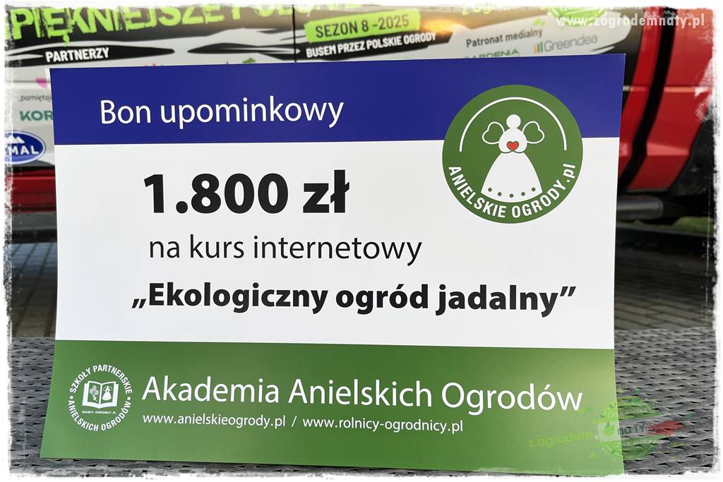 Ogród ze starą cegłą 107