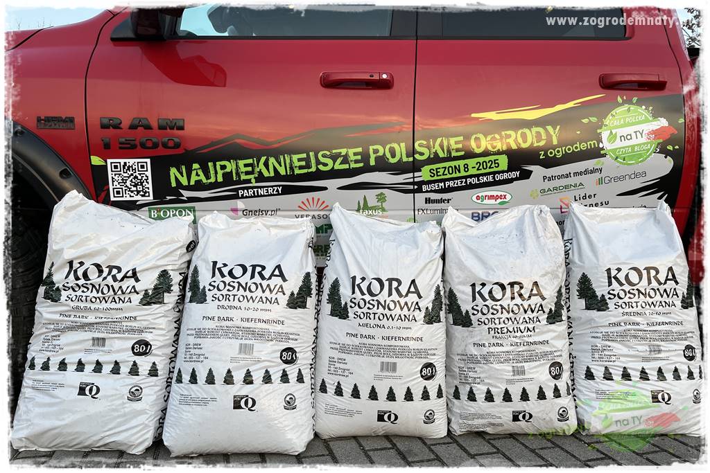 Ogród ze starą cegłą 108