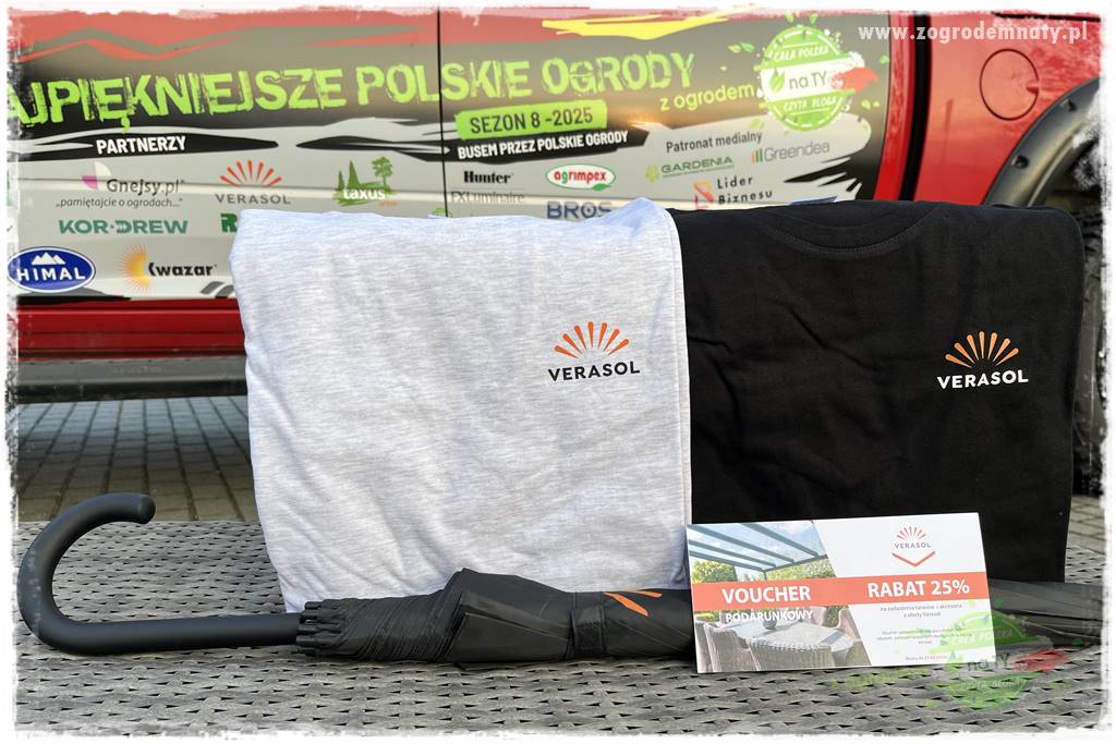 Ogród ze starą cegłą 109