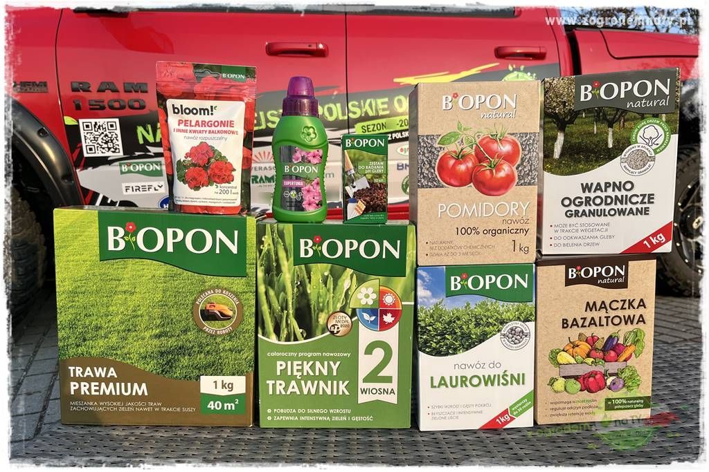 Ogród ze starą cegłą 118