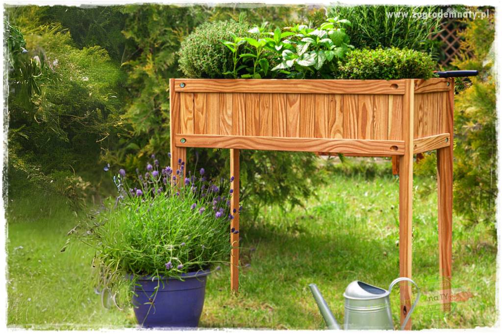 Ogród ze starą cegłą 122