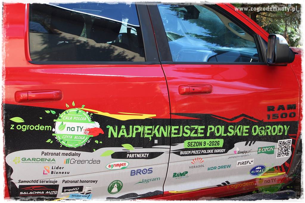 Ogród ze starą cegłą 99