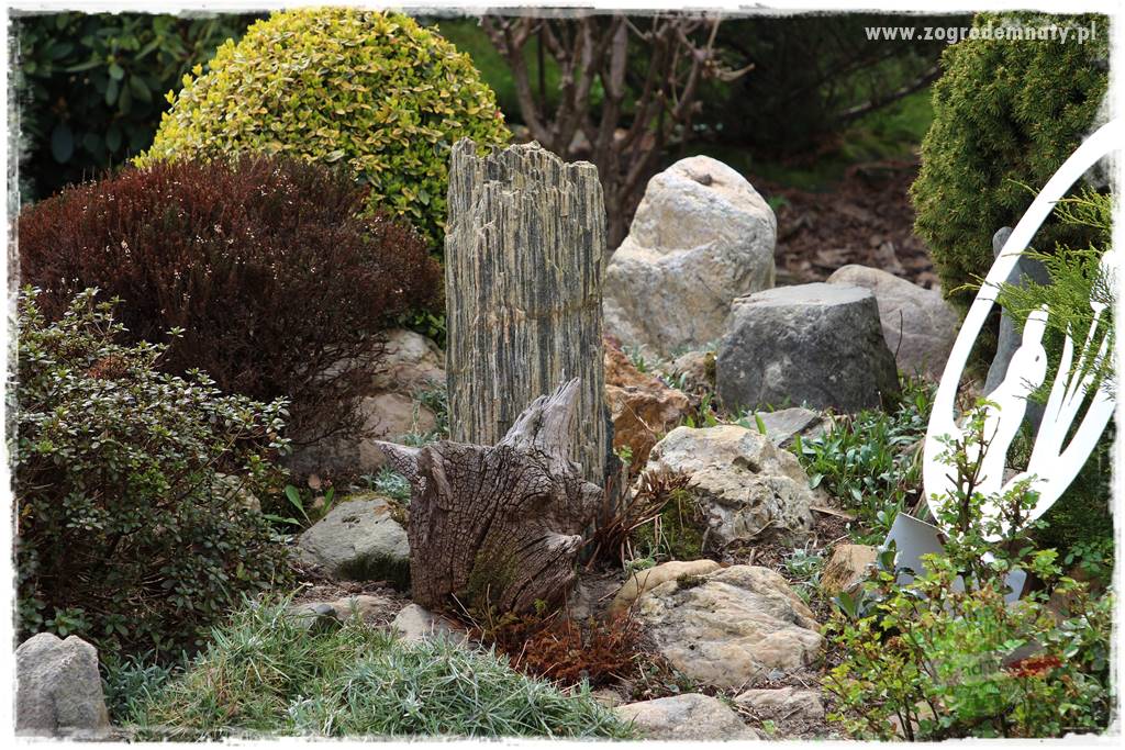 Świąteczne siedlisko 106