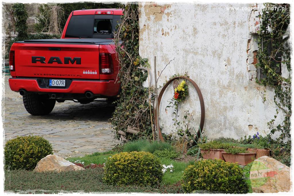 Świąteczne siedlisko 13