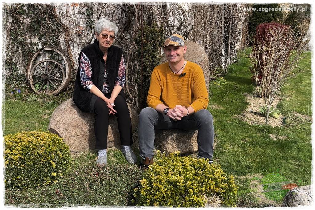 Świąteczne siedlisko 14