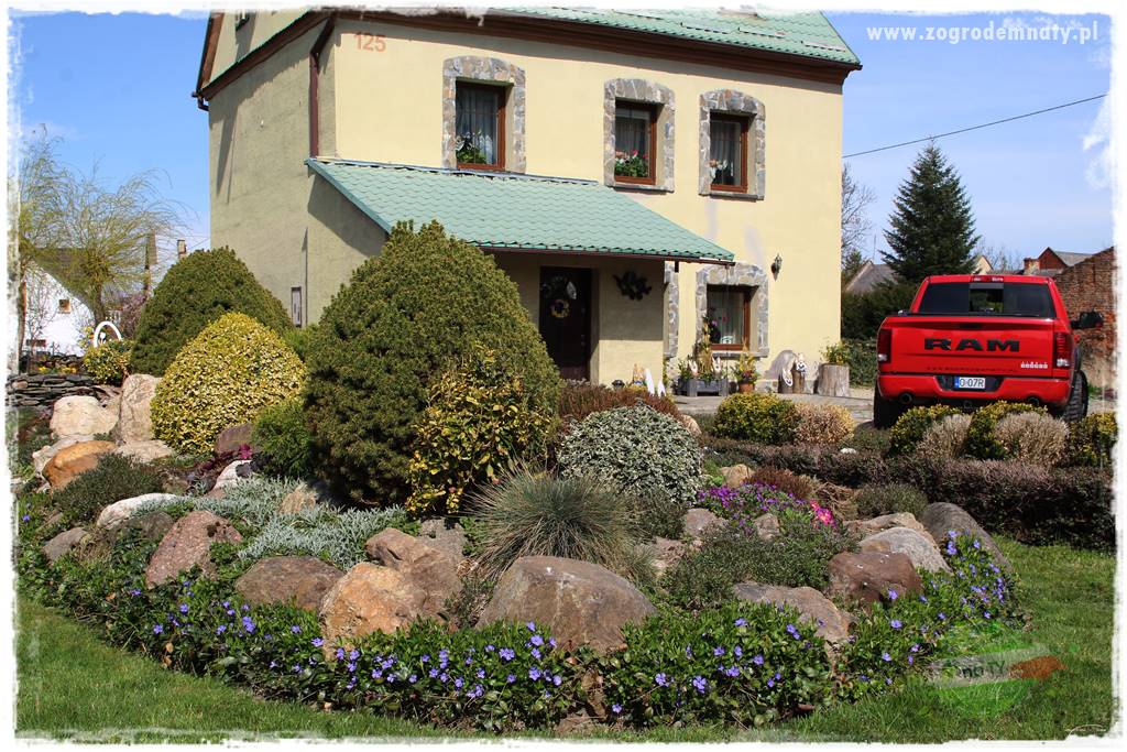 Świąteczne siedlisko 15