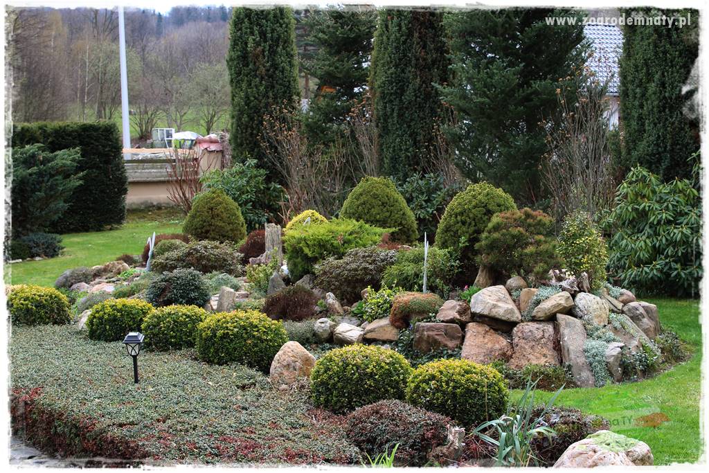 Świąteczne siedlisko 16