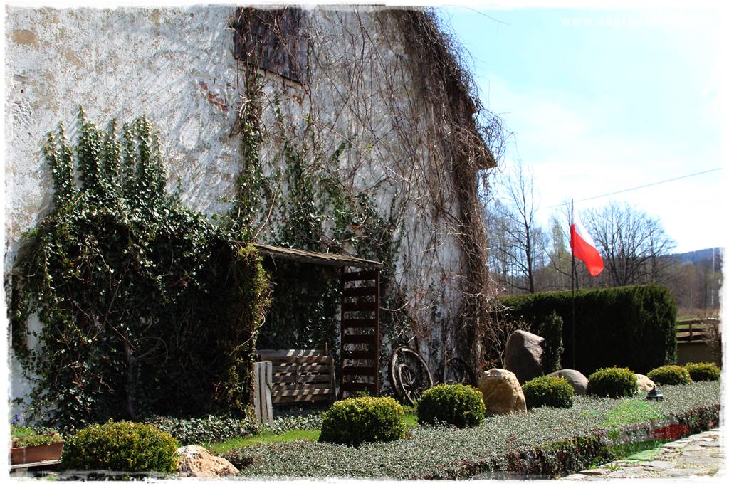 Świąteczne siedlisko 17