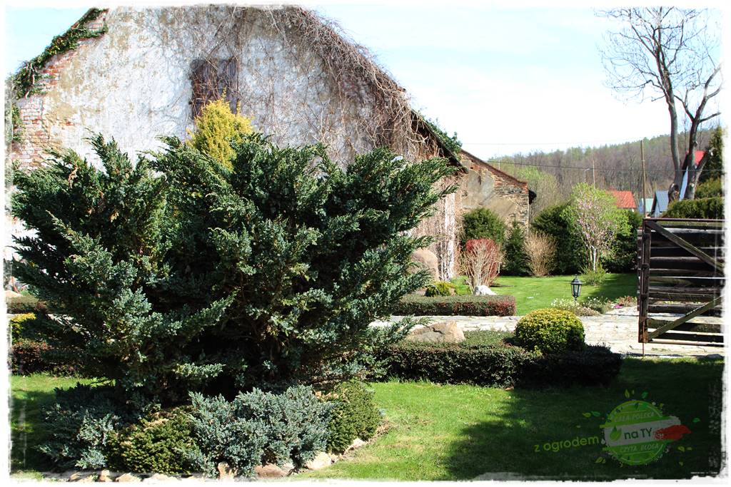 Świąteczne siedlisko 18