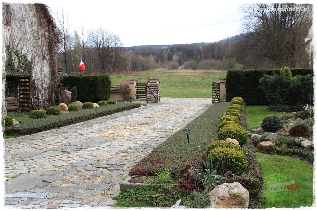 Świąteczne siedlisko 201