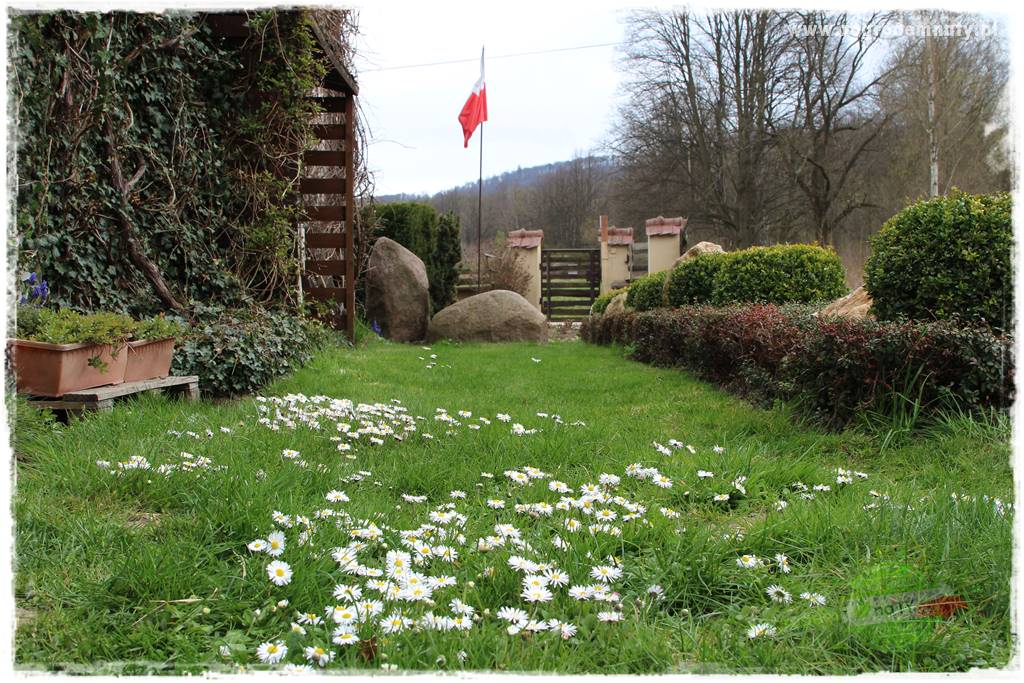 Świąteczne siedlisko 202