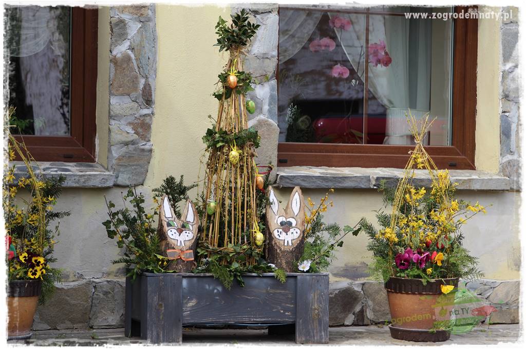 Świąteczne siedlisko 203