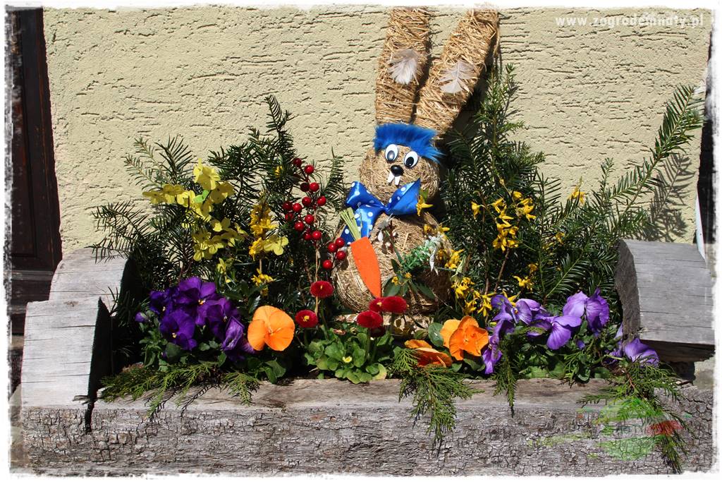 Świąteczne siedlisko 204