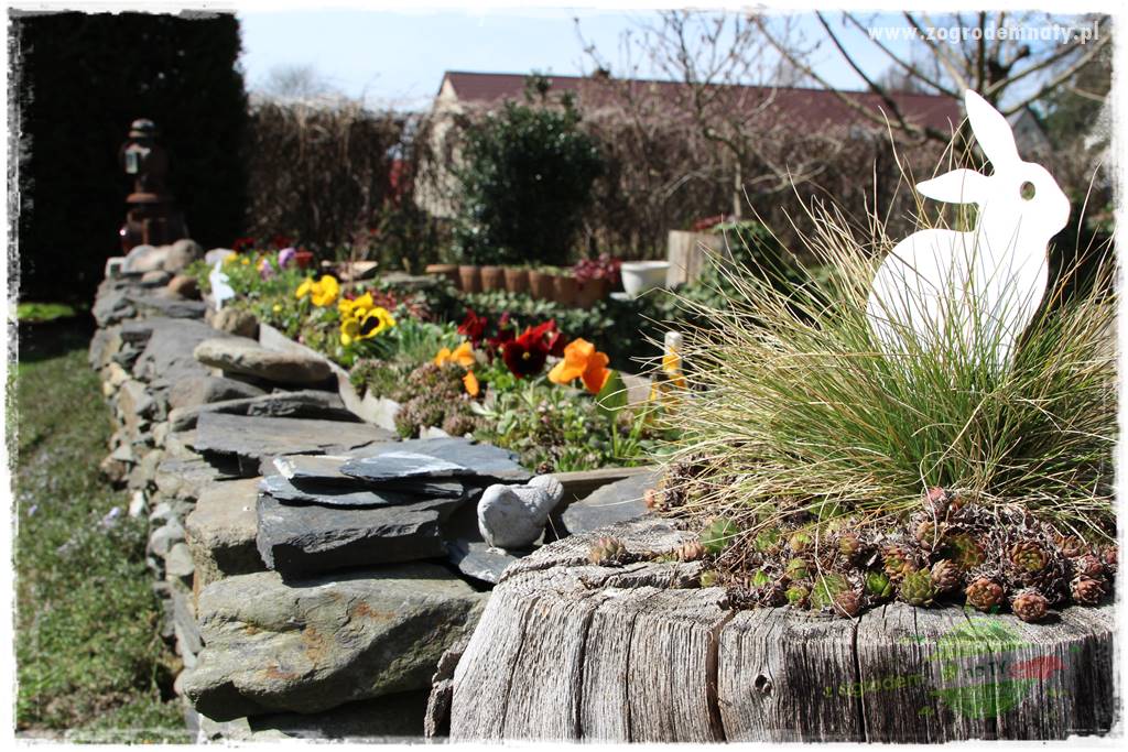 Świąteczne siedlisko 205